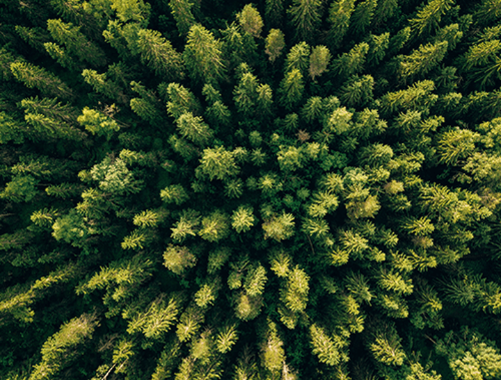 Axelent environmental efforts