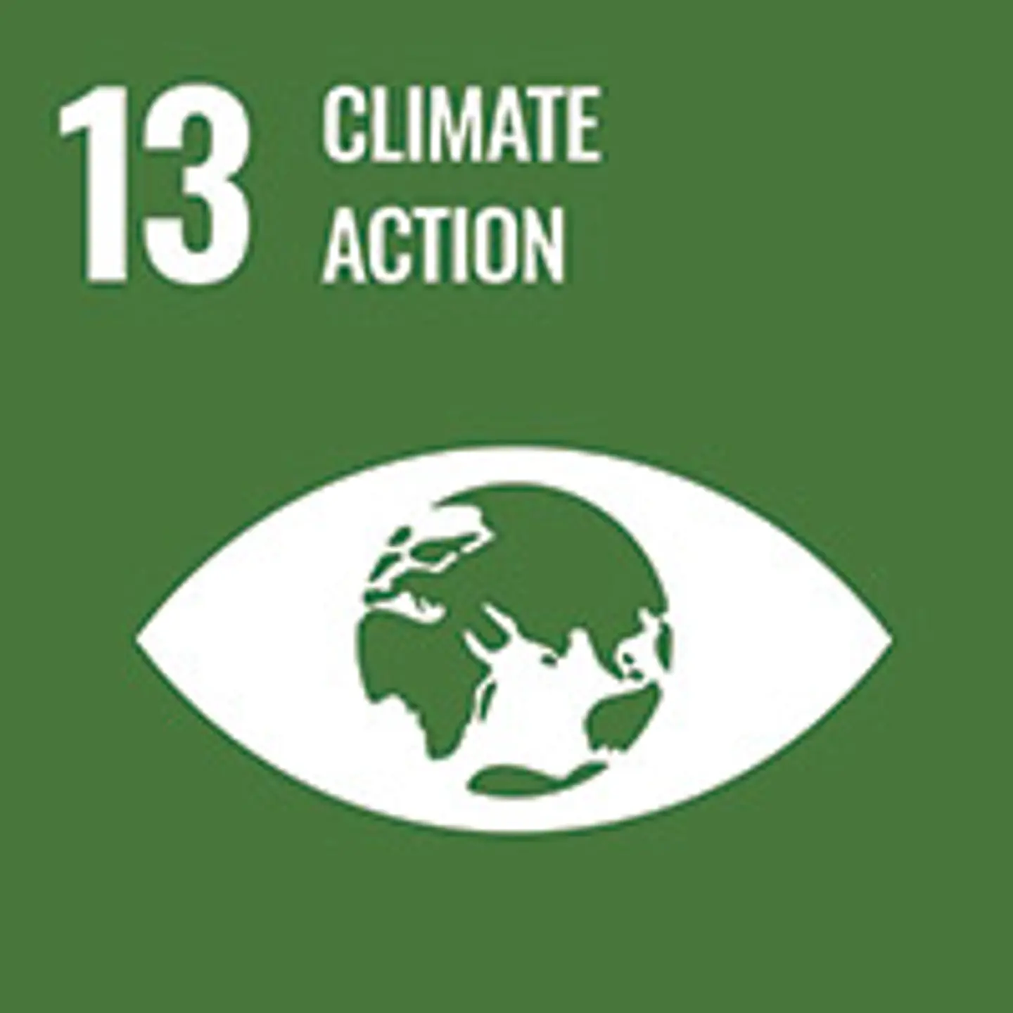 Graphic showing the planet earth inside an eye symbolising climate action